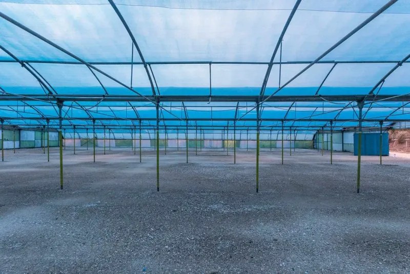 The shaded area under the blue netting