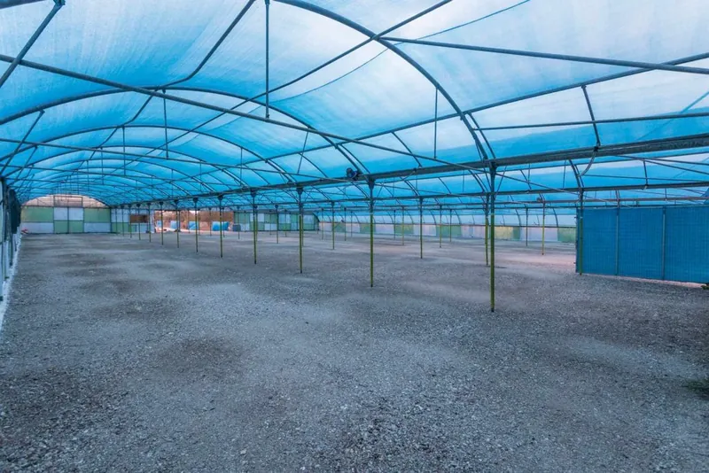 Inside the shaded parking area
